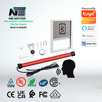 Motor NB Reroad Electric DC 12V 24V Motor de persiana enrollable tubular moderno para toldo de hotel/pantalla/cortina carga máxima 3000kg