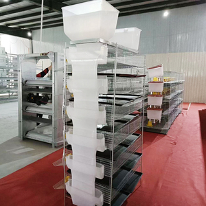 Gabbie di quaglia professionali per la produzione di uova gabbia di quaglia per la vendita con sistema di alimentazione del bevitore automatico