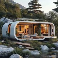 Vente directe du fabricant, nouvelle conception de maison en bois avec structure métallique galvanisée, maison triangulaire, hôtel de type homestay