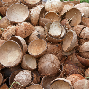 Charbon actif de coquille de noix de coco de haute qualité du Vietnam Meilleur prix Mme Lina + 84896625614 - Product Image 1