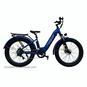 Hotselling Women Fat E Bikes 26Inch MTB 48V 15Ah Hidden Battery Fat Tire Electric Bike