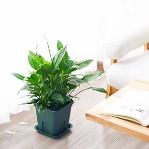 Ventes directes d'usine <span class=keywords><strong>de</strong></span> pots <span class=keywords><strong>de</strong></span> fleurs <span class=keywords><strong>de</strong></span> contrôle des racines en plastique cylindriques personnalisables - Product Image 3