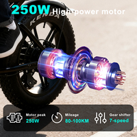 Vélo électrique X80 PRO VOMO en promotion, moteur à chaîne, vélo à pneus gras 48v250W, vélo de route électrique de montagne, vélo à pneus électriques de 20 pouces
