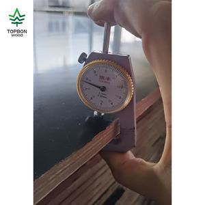 Proveedor Chino de Láminas de Madera Contrachapada Marina de 4x8, 12mm y 18mm, Resistentes al Agua, Recubiertas con Película, <span class=keywords><strong>para</strong></span> Construcción, Encofrados de Hormigón y <span class=keywords><strong>Cubiertas</strong></span> de Barcos - Product Image 6