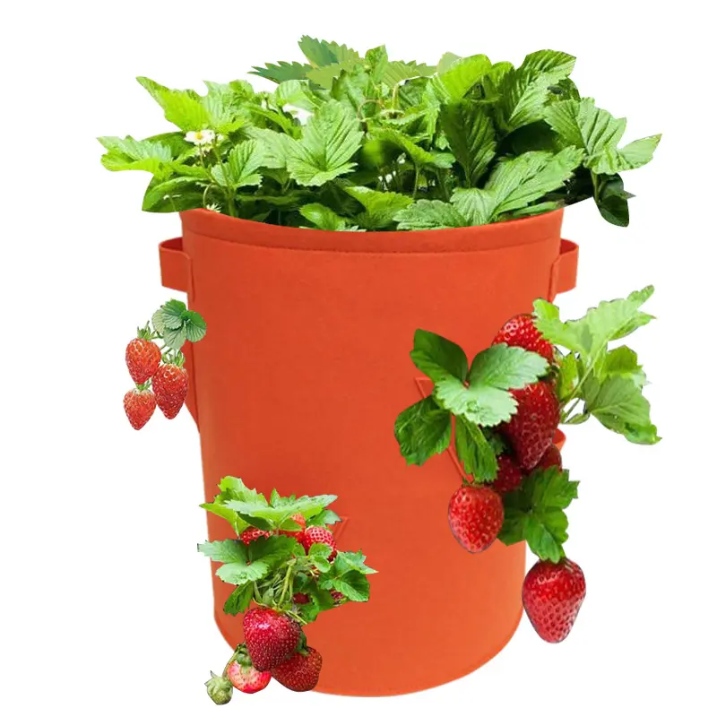 맞춤형 5 7 10 갤런 통기성 화분 가방 헤비 듀티 교수형 펠트 딸기 성장 가방 식물 재배 냄비
