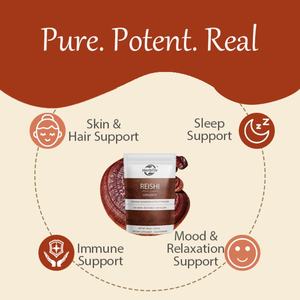 Polvo de Hongo Reishi OEM/ODM, Extractos de Hongos Orgánicos Seleccionados a Mano, Reishi Rojo para un Bienestar Diario Tranquilo, Apoyo para la Piel - Product Image 3
