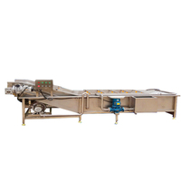 Fruitwas- en sorteermachine, geïntegreerd reinigen, sorteren, verheffen, voor appels, citrusvruchten etc.