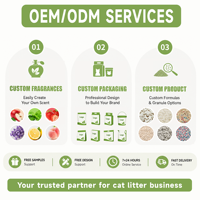 ODM/OEM 고양이 모래 원료 맞춤형 과립 및 향 MSDS 인증 두부 고양이 모래 (글로벌 애완동물 대량 구매자용)