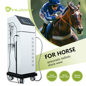 Macchina per terapia focalizzata portatile a doppia modalità per ED e sollievo dal dolore-certificata per uso veterinario T210 - Product Image 5