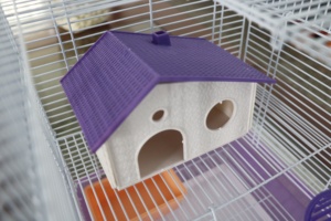 Fabrika toptan <span class=keywords><strong>Metal</strong></span> <span class=keywords><strong>Hamster</strong></span> kafes tel <span class=keywords><strong>Pet</strong></span> House taşınabilir dayanıklı plastik nefes çizgili çoklu boyut özelleştirilmiş renk - Product Image 5