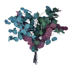 Handmade Frost xanh bạc đô la bạch đàn tắm treo bảo quản trang trí nhà với cây bạch đàn và lá - Product Image 1