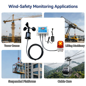<span class=keywords><strong>Compteur</strong></span> d'alarme <span class=keywords><strong>de</strong></span> vitesse du vent à 3 vitesses pour grue tourneuse avec capteur filaire, contrôleur à affichage numérique et balise d'avertissement - Product Image 2