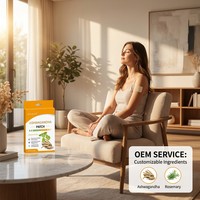 Patch d'Ashwagandha Personnalisé Usine OEM ODM Marque Privée Patch Naturel Anti-Stress Matériaux et Ingrédients Personnalisés