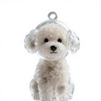 Nouveau Porte-clés Souvenir Commémoratif Transparent Mignon en Forme de Capsule Écologique pour Stocker les Poils d'Animaux (Chiens et Chats)