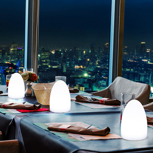 Minimalist RGB Color-<strong>changing</strong> LED Egg-shaped Dining <strong>Table</strong> Lamp Suitable for Home Restaurants and Hotel Atmospheres - Product Image 2