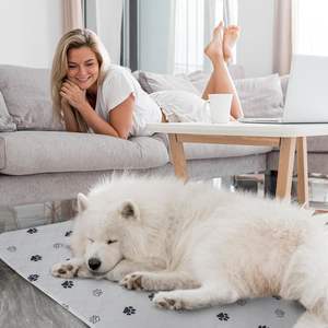 Hot Sale Modern Style Wieder verwendbare Sommer Haustier Pee Pads Wasch bare Training Welpen Hund Pads Soft Travel Friendly Direct Factory Export - Product Image 5