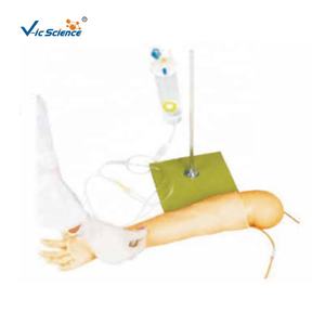 รูปแบบการเจาะหลอดเลือดดำแขนเด็กขั้นสูง - Product Image 1