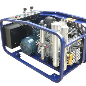 300bar 380v उच्च दबाव श्वास <span class=keywords><strong>SCBA</strong></span> डाइविंग के लिए हवा कंप्रेसर - Product Image 1