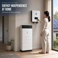 Sistem Penyimpanan Energi Surya Rumah Tangga, Kit Penyimpanan Surya Pintar untuk Atap PV Sistem Off Grid & On Grid untuk Pasokan Listrik Rumah Tangga