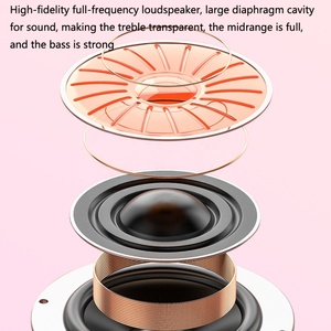 Micro Gia Đình Không Dây Bán Chạy Alibaba Micro Cầm Tay Loa Bluetooth Micro Karaoke - Product Image 6