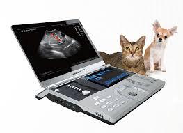 Escáner de Ultrasonido Doppler a Color Portátil VINNO 5 Vet con Certificación CE para Diagnóstico Veterinario de Ovejas, Perros y Cerdos - Product Image 2