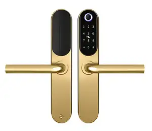 IP65 certified TTlock TThotel optional electric front door digital OEM smart lock gold outdoor home finger print locker