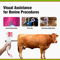 Outil professionnel d'insémination artificielle du bétail avec sonde de massage vibrante à chauffage constant et écran rotatif pour ferme bovine