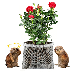 Panier en maille tissée en acier inoxydable 304, protection réutilisable contre les taupes et les gophers pour les plantes de jardin - Product Image 1