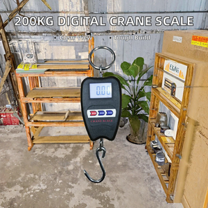 Báscula Digital para Grúa OEM de 200 kg, Modelo 102A, Plástico ABS - Product Image 2