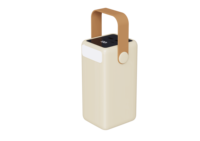 Banque de puissance haute capacité 60000mAh de vente chaude Portable à charge rapide avec lumière LED