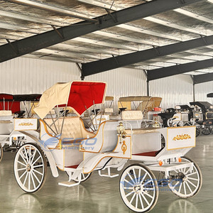 Voiture électrique de tourisme de haute qualité, conçue pour le confort et la fiabilité lors des excursions, transport spécial - Product Image 2