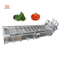 Groente-en Verwerking Apparatuur Pdf Granaatappel Reiniging Aloë Vera Papaya Wasmachine
