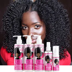 Everythingblack Private Label Organic Natural Hair Care Products For Natural Hair Sets With Gift Box