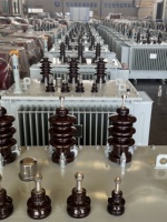 Transformateur de puissance triphasé fiable à bobinage en aluminium S13 immergé dans l'huile 300 kVA 11 kV 433 V