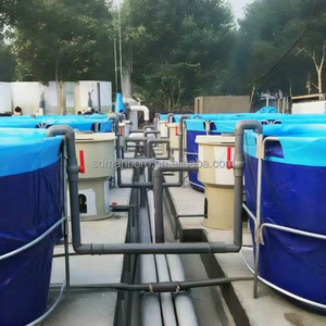 Nhà cung cấp thiết bị nuôi cá công nghiệp và thiết bị nuôi tôm trong nhà của Trung Quốc - Product Image 5