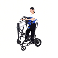 Déambulateur et rollator pour personnes âgées, équipement d'entraînement de rééducation des membres inférieurs pour l'assistance à la rééducation post-AVC et hémiplégie
