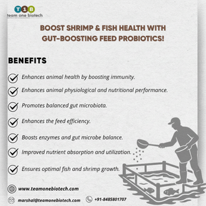 Aditivo probiótico de alimentación de camarones para conversión de nutrientes Producto de alta potencia para el cultivo de camarones - Product Image 1