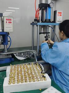 Sensore di Pressione Ferroviaria ad Alta Precisione Lesen, Vendita Diretta dalla Fabbrica, 55PP02-03 - Product Image 6