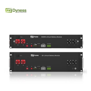 Paquete de Baterías de Iones de Litio <span class=keywords><strong>Dyness</strong></span> de 48 V y 50 Ah, Batería de Litio de Bajo Voltaje <span class=keywords><strong>Dyness</strong></span> B4850 - Product Image 3