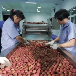 Ligne <span class=keywords><strong>de</strong></span> production <span class=keywords><strong>de</strong></span> longanes/lychees, champignons en conserve/pois verts/graines <span class=keywords><strong>de</strong></span> maïs/concombre/cornichons/poivre/haricots rouges, stérilisateur <span class=keywords><strong>de</strong></span> bouteilles, épluchage et dénoyautage - Product Image 3