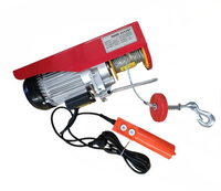 Mini 220V Elektrischer Hebezug Neuzustand Stahlseil Bauaufzug Lift 100kg Motor für den Haushalt