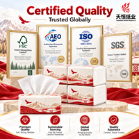 Mouchoirs en papier Kyrgyz Yurt Horse Eagle Snow Mountain Soft Pack, gaufrés, absorbants, 2 plis