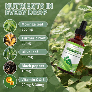 Gouttes buvables de Moringa biologique à marque privée, sans alcool, extrait végétal, complément alimentaire pour femmes enceintes, OEM ODM personnalisé - Product Image 4
