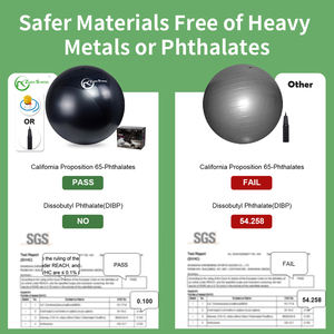 <span class=keywords><strong>Ballon</strong></span> <span class=keywords><strong>de</strong></span> yoga et <span class=keywords><strong>de</strong></span> <span class=keywords><strong>gymnastique</strong></span> gonflable en PVC écologique <span class=keywords><strong>de</strong></span> style Harmony, personnalisé OEM/ODM par l'usine Zhensheng - Product Image 5