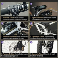 In Stock 2026 SurRon Light Bee 2 Off-Road Motorcycles 78.54v 24kw High Quality Motorcycle Electric surron Lbx 2.0