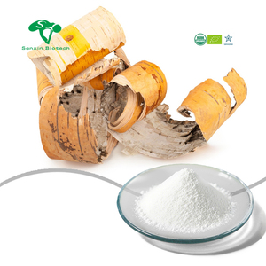 مكمل غذائي طبيعي من الدرجة الغذائية CAS-15-1 خلاصة لحاء البيتا الأبيض - Product Image 1