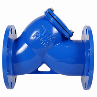 Filtre en Y en fonte ductile DN65-DN125 GGG50 QT450 avec embout en acier inoxydable SS304 PN16 pour pompe CVC et traitement de l'eau OEM ACKO