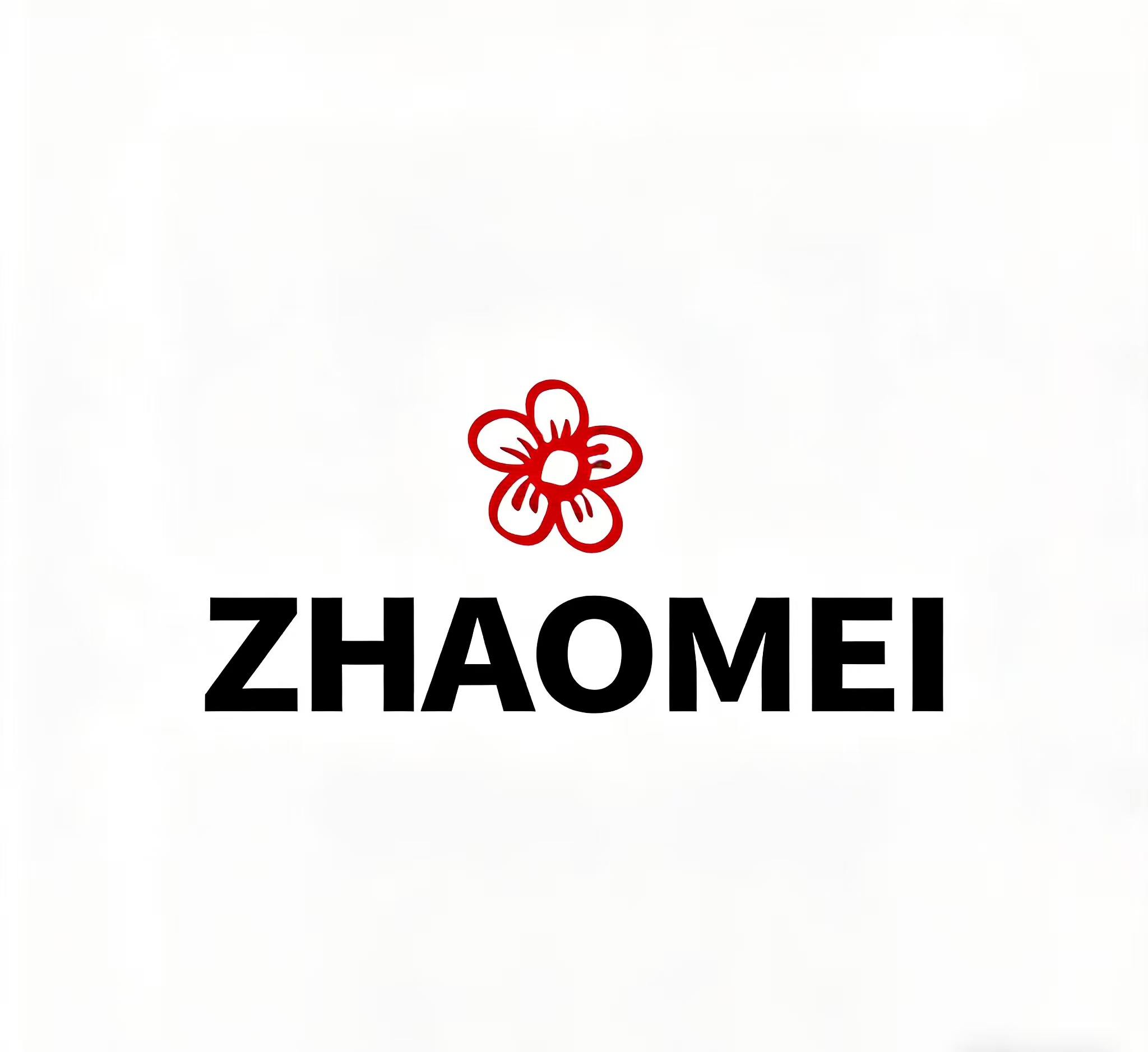 Jiangxi Zhaomei Technology Co., Ltd. logo