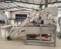 Machine à décortiquer les pistaches de haute qualité 120 kg/h, machine à peler les pistaches, machine à éplucher les pistaches