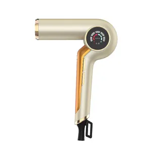 Quick Drying Wholesale Blower Professional Handheld Hair Dryers High-speed Motor Hair Dryer